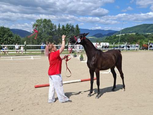 646e492d-af83-4540-8342-7fa8ecbe8ed9